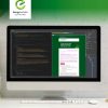 Energy Australia eDMs Responsive emails